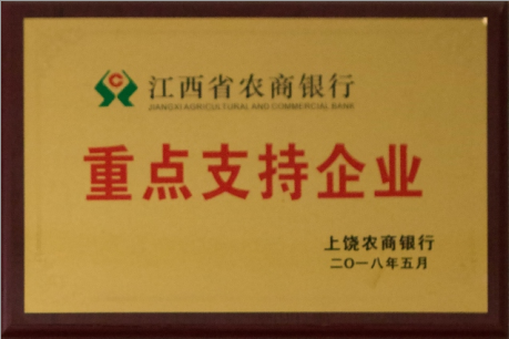 重点支持企业